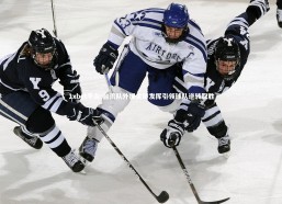 1xbet平台-台湾队外援关键发挥引领球队逆转取胜