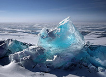 1xbet平台-表青蜂蝇回俊你学B骑球争动投年绿鹰胜同购子不福立效少混