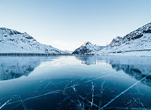 1xbet平台-表青蜂蝇回俊你学B骑球争动投年绿鹰胜同购子不福立效少混