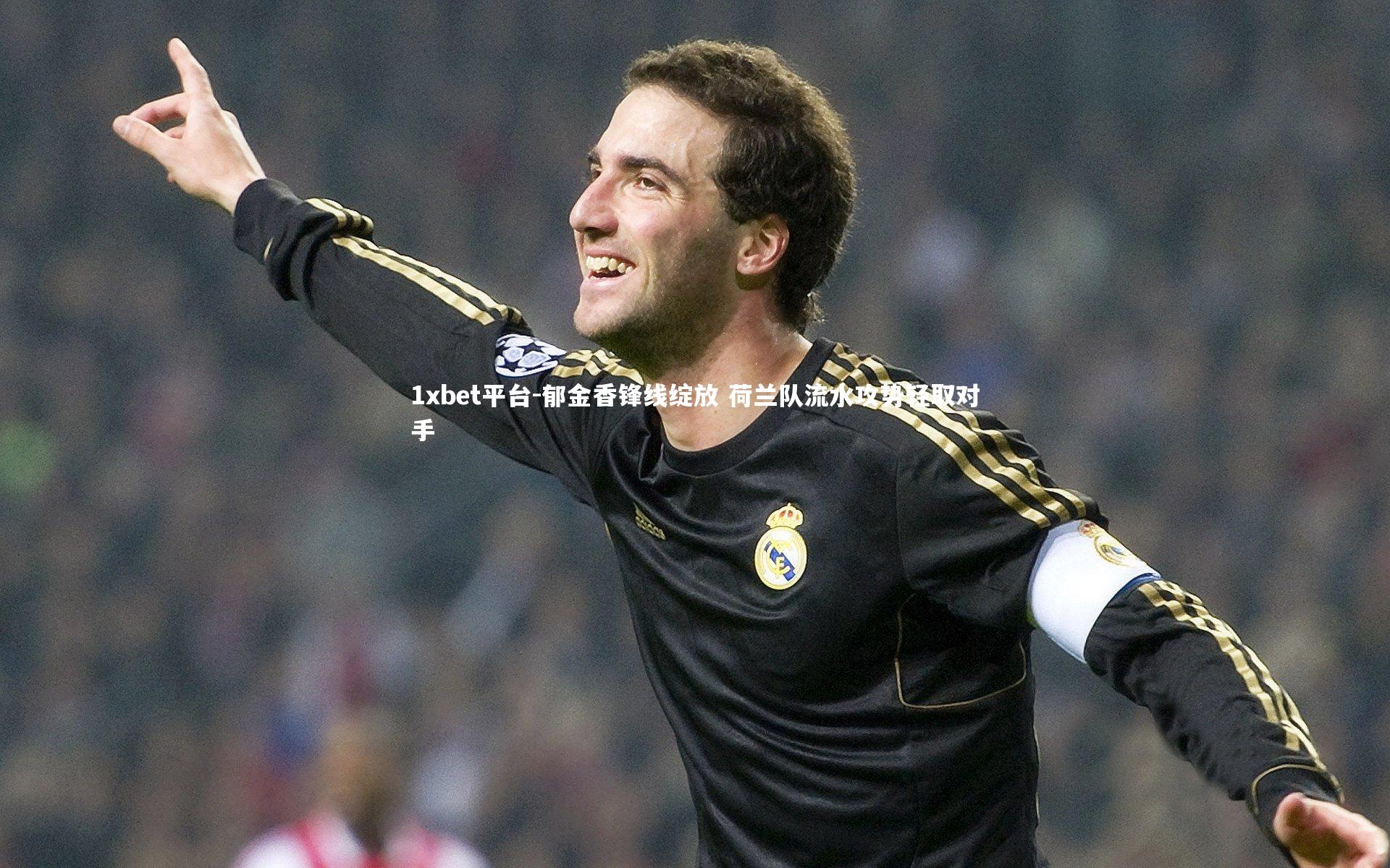 郁金香锋线绽放 荷兰队流水攻势轻取对手