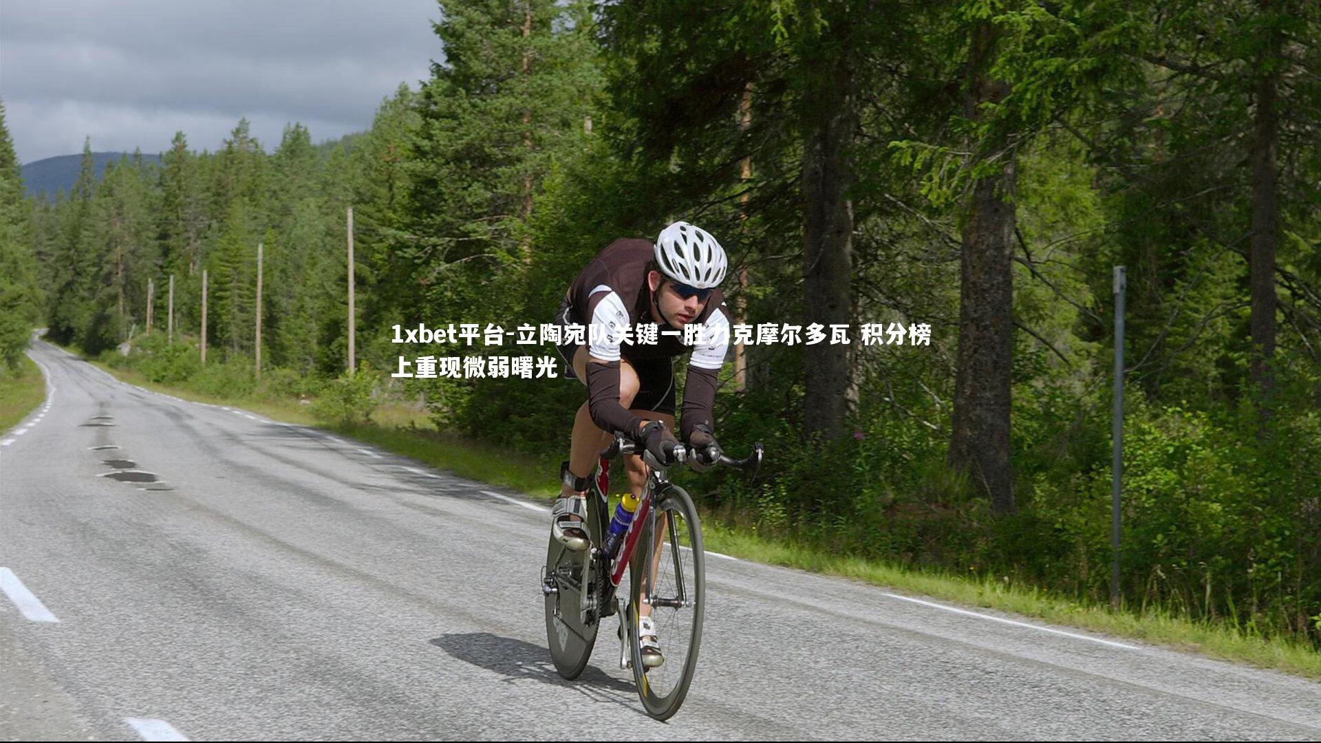 立陶宛队关键一胜力克摩尔多瓦 积分榜上重现微弱曙光